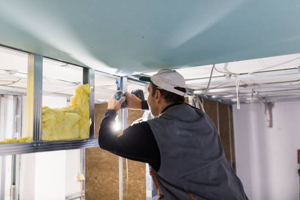 Best Home Insulation Services  in Logansport, LA