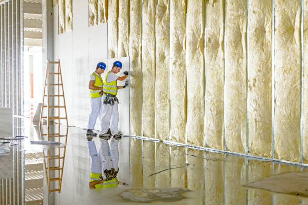 Best Wall Insulation Contractor  in Logansport, LA